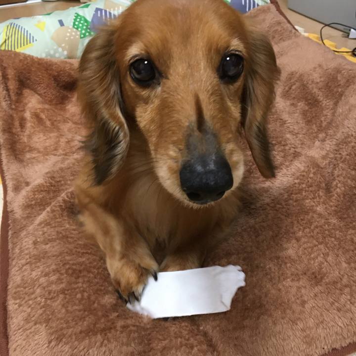 7779ebe6 cee2 47c5 9d2a 6b8b4e37964b 1587121953500