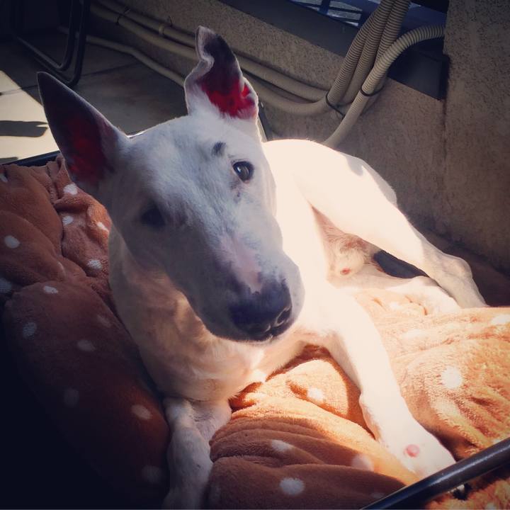 7779ee4f 0248 4f47 9f38 5acd26ab8ed8 1524887372002