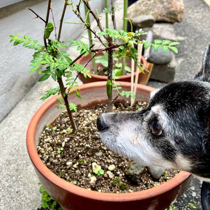 777a48d8 38f6 4f5f a6da 08bc625a61e3 1652569897833