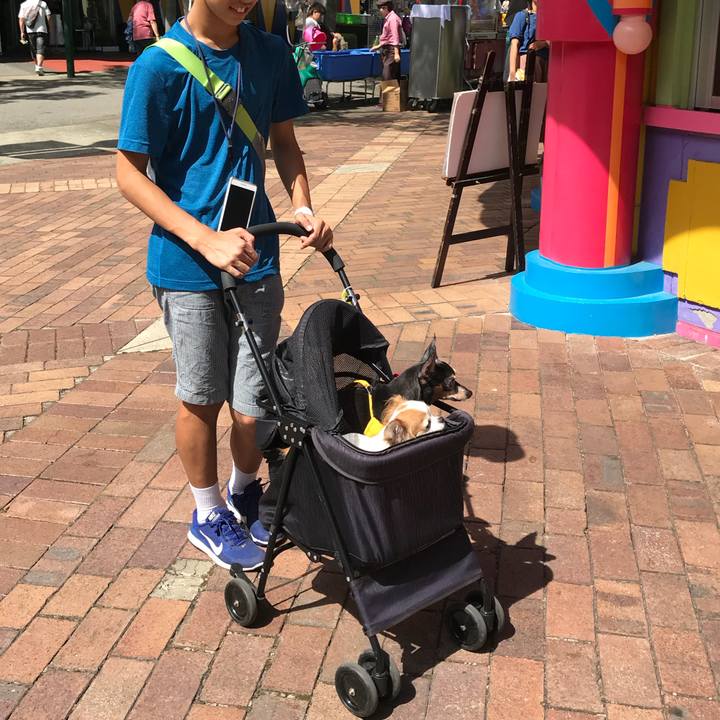 777a5240 b1bc 4029 889b 8b8d62ddedc4 1534567243872