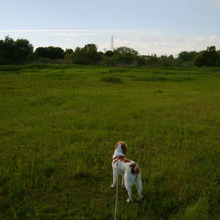 777a73ed 9c6d 47f9 aff8 854d0b467a4d 1525697331048