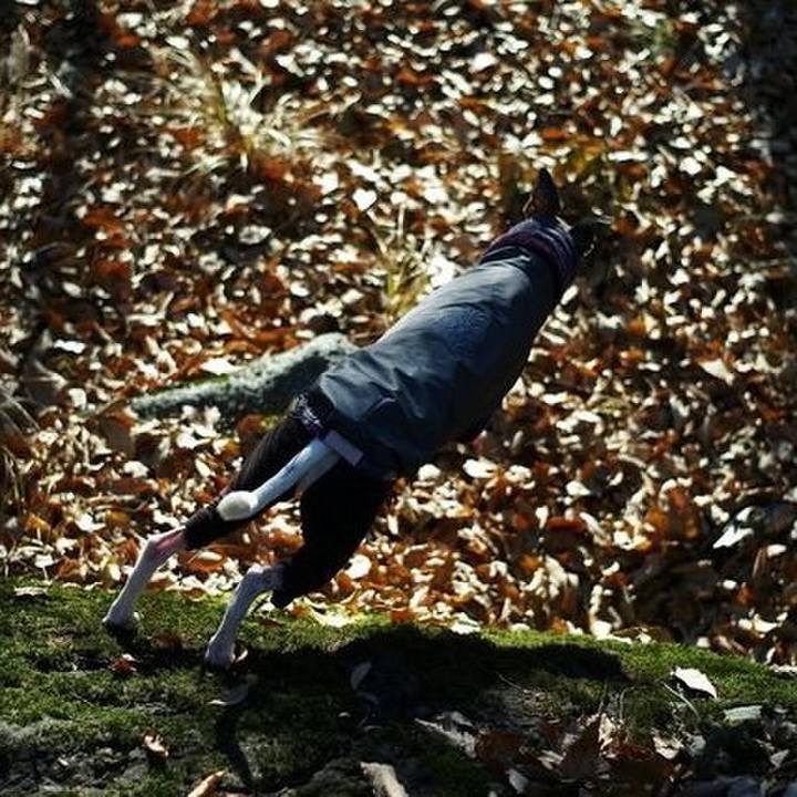 777ae977 349f 4fb3 8b69 d8b77e168d38 1514649236619