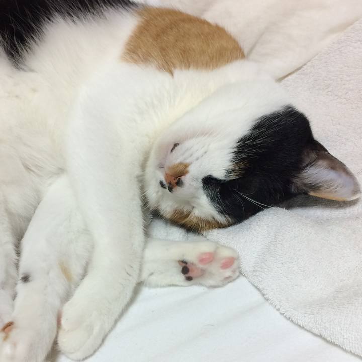 777b0f24 33d0 49ed 930f 7e07b3ade51b 1538348257163