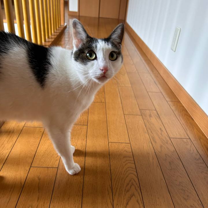 777b2a68 b33c 4318 bd96 394828a51911 1716418633372