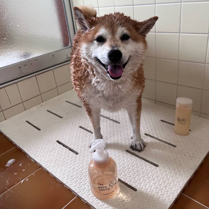 777b4175 1597 45c8 9c5b 9e0cf66e155b 1692259379118