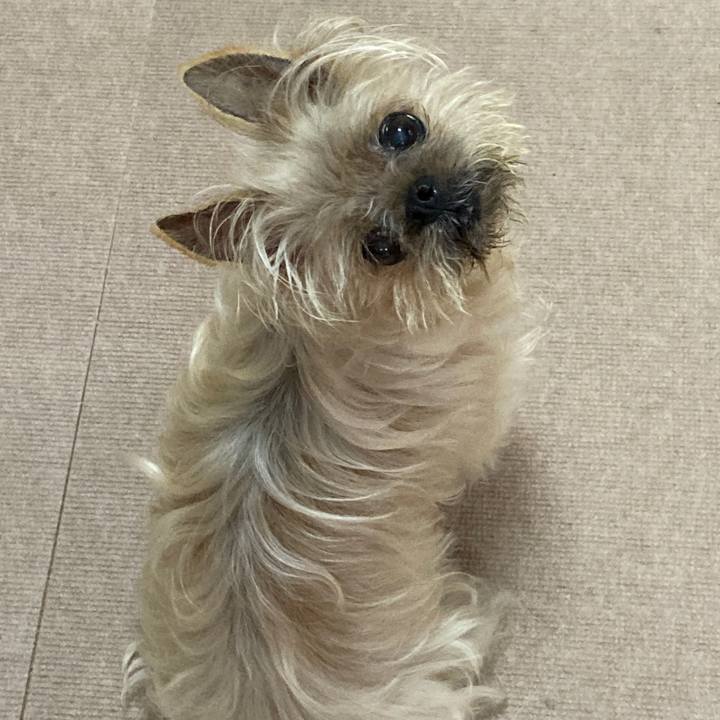 777b4516 7b7d 4427 8a9a c6deebc76824 1623921468972