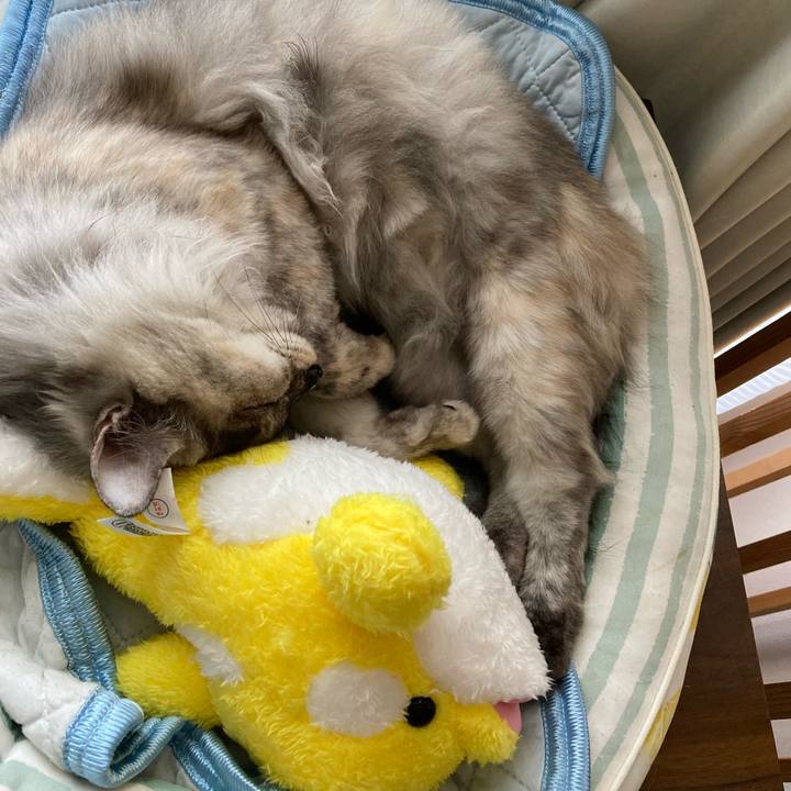 777b53c8 7749 41fc b682 104f3856bb78 1723861553541