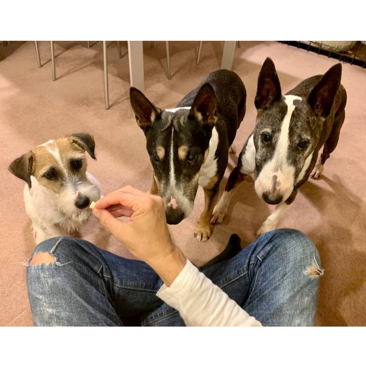 777b678a f246 415b 8270 a9b2673d9a87 1603451556291