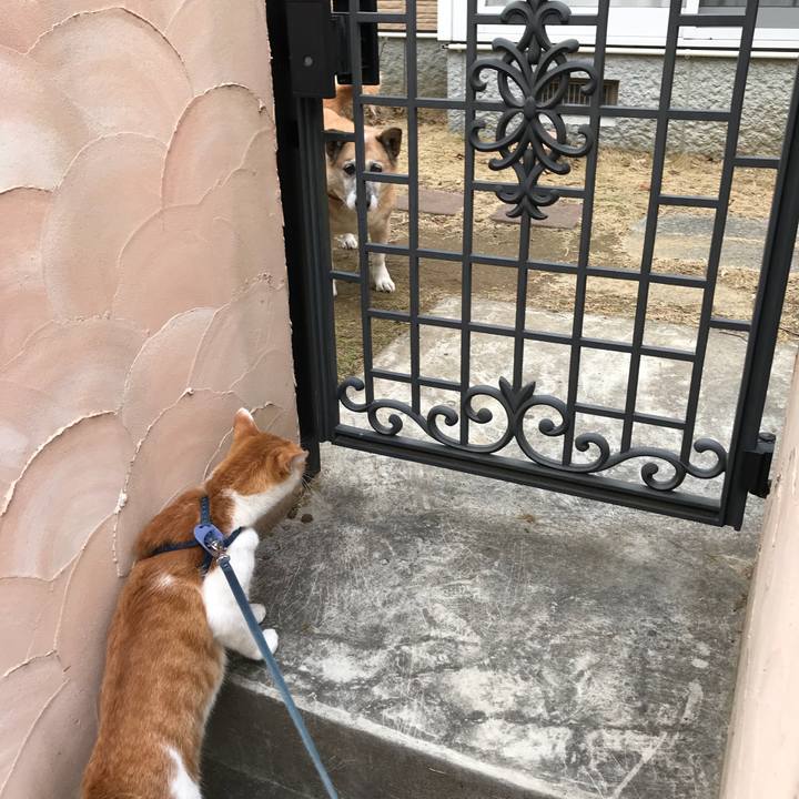 777b9dc7 ea84 4345 975a 091168e26d27 1512104629149