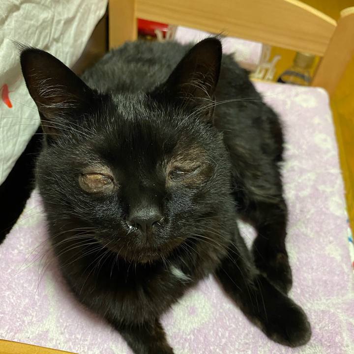 777bb250 0af5 4f0d 80a2 01dda551c06d 1597503996219