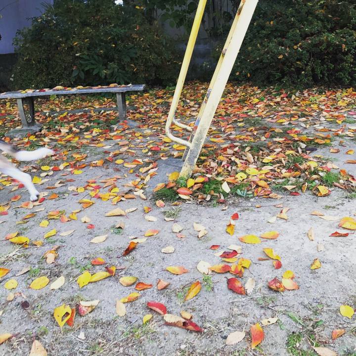 777bbeb9 4987 4422 b9f0 3f528fc3214d 1574571805890