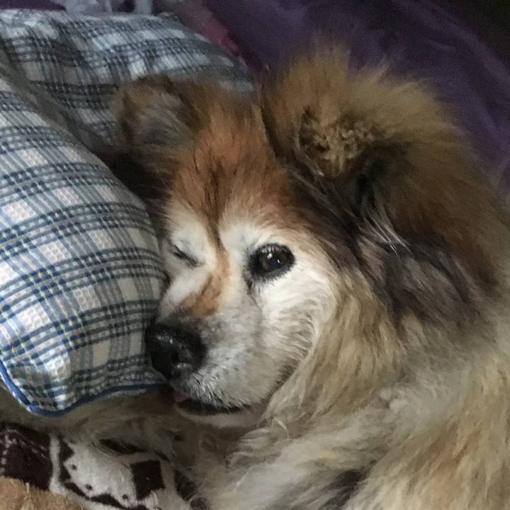 777bf3d0 bebb 492c b785 2df08ac19ce7 1599988644685