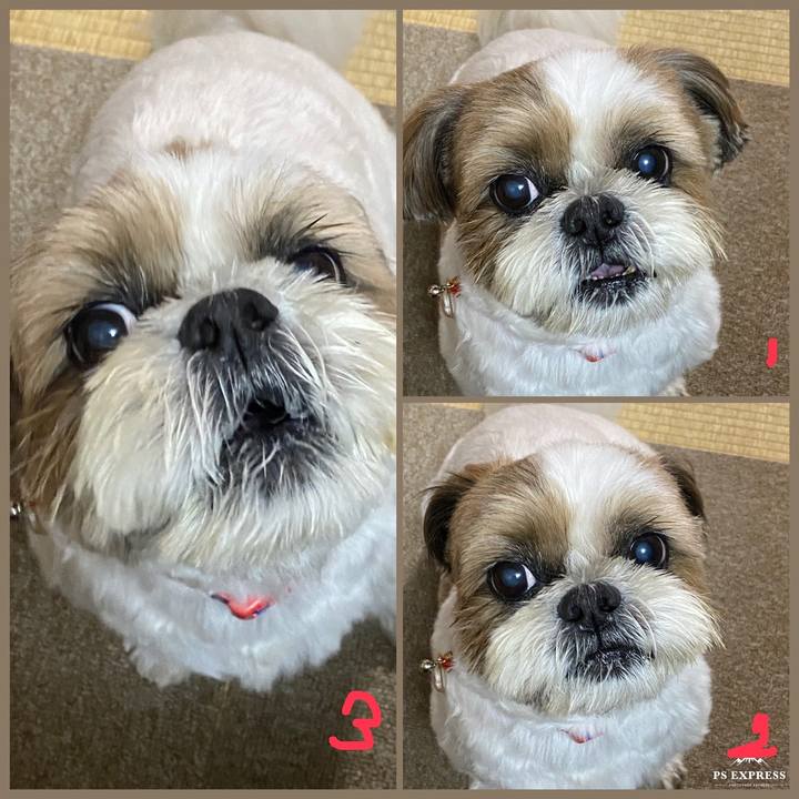 777bf5e5 6a38 4122 ba8b e176087fc688 1596885974400