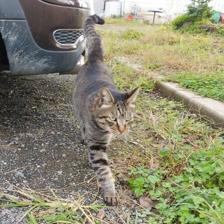 777c4c6f 7842 4e55 a852 3e427c617049 1603151058228