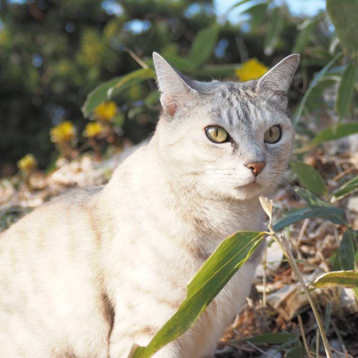 777c5abc b09f 4aee a9dc 786623e5f514 1773750883505