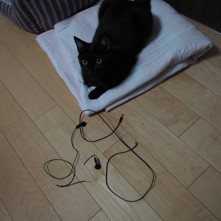 777c98ae a6be 43fb b411 33fd54bfae8c 1544053075843