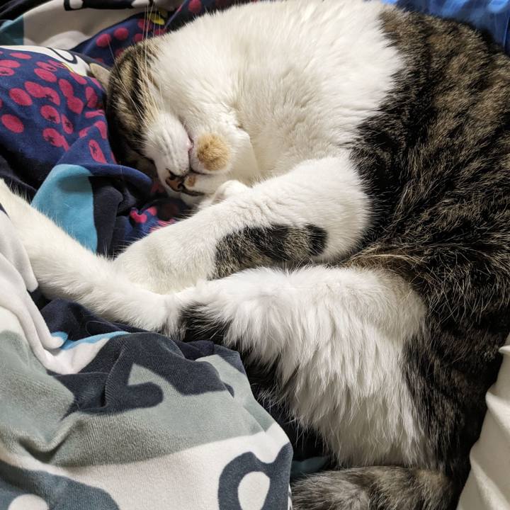 777c9d1c 0533 42fd b0e7 568a8c864955 1691939166314