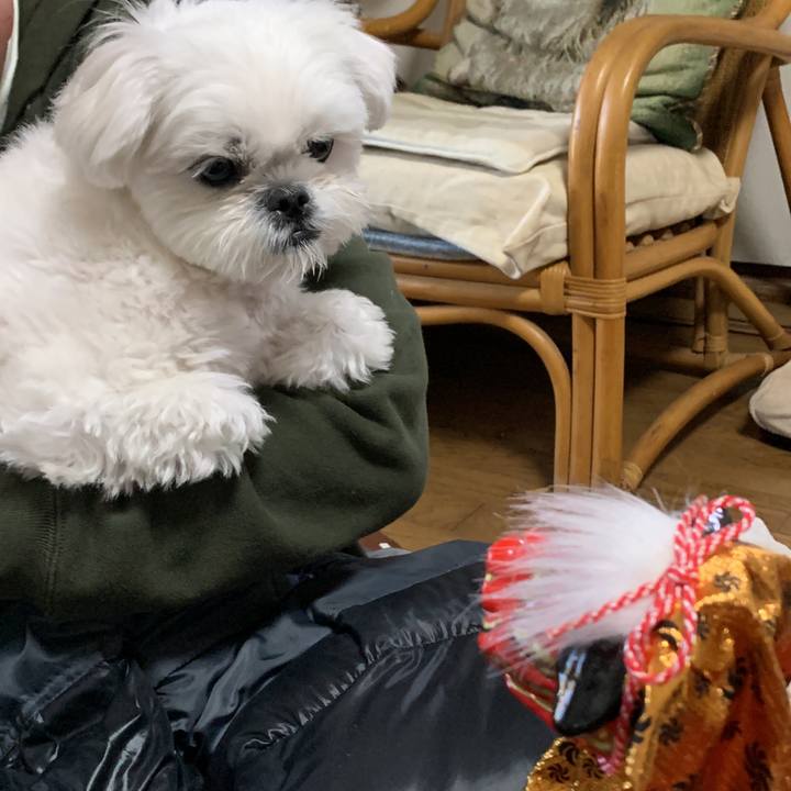 777cc9ad e8fb 4ddf 9754 62fbe545bd2f 1641044044090