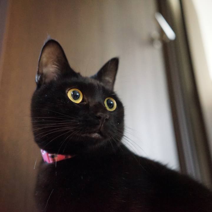 777d008d a9aa 46f0 a738 ca8687f48564 1542671718956