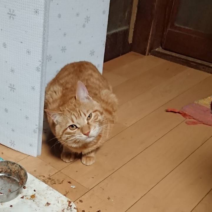 777d2ee8 6a74 41b1 bf57 327ee10785ea 1646945707606