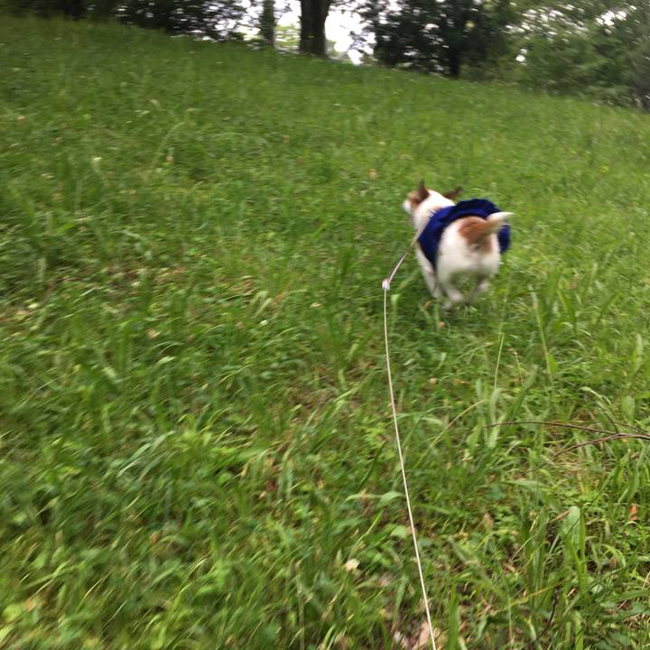 777d4ac7 d104 47d7 a403 6c33d657c6a1 1594596072009