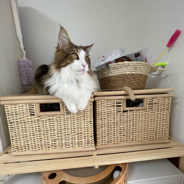 777d4d58 c9c4 4963 a0c4 d44e2716da0c 1643410001519