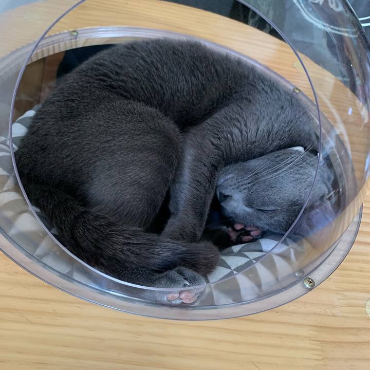 777d88dd 8253 4746 9a65 1657687c1e42 1677562493550