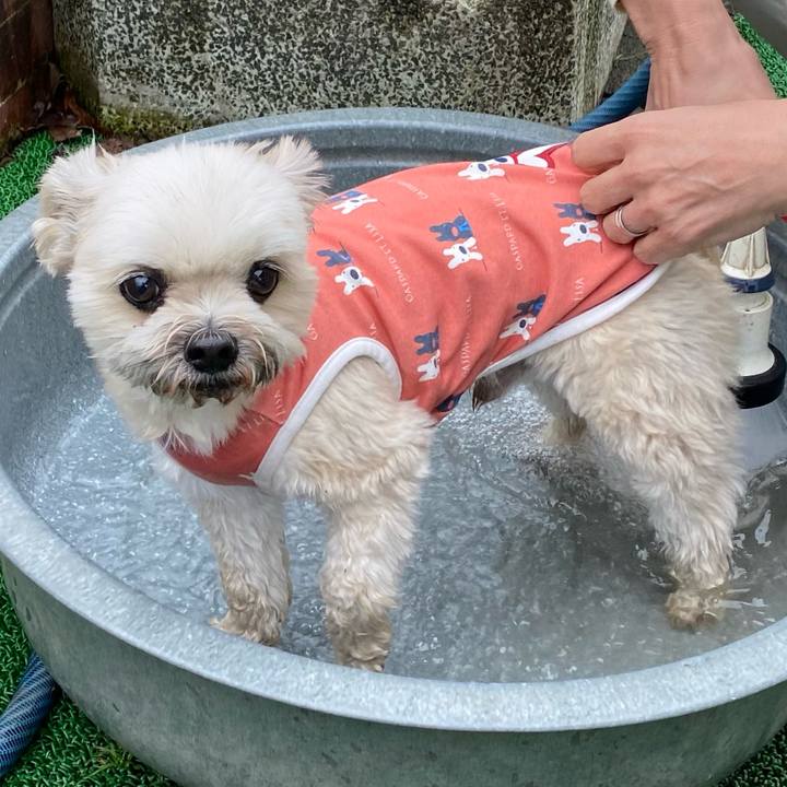 777da9c5 3dc0 4150 93e5 a4f0ee45afbc 1746079494433