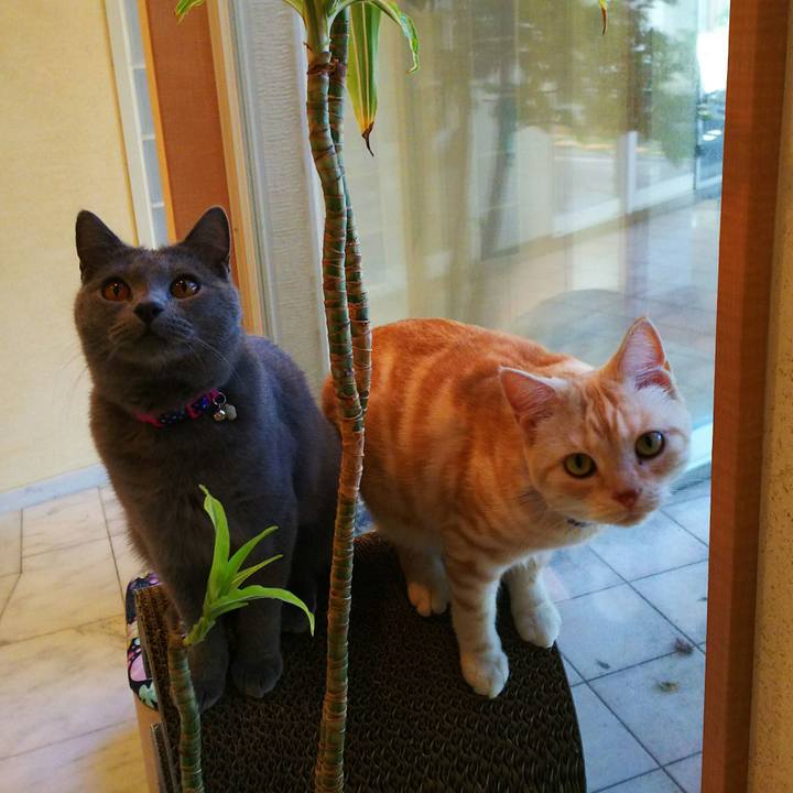 777dd79d 21f9 4a80 ba68 bf5927841e41 1508999669598