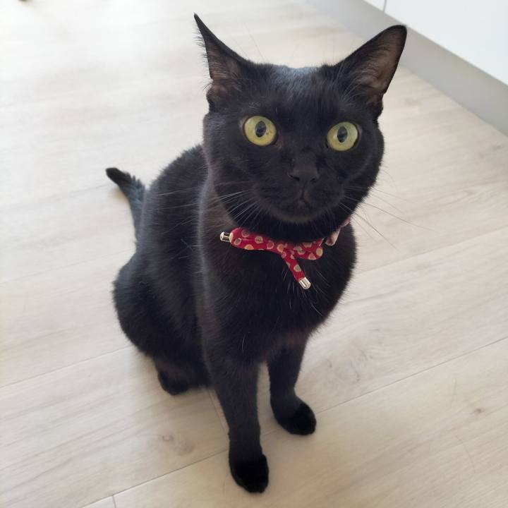 777ddb99 34e9 4216 8565 2dee74bfa32f 1688250388151