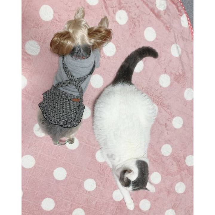 777ddcd7 17a2 4b04 b51c 613ae3b79488 1575936408370