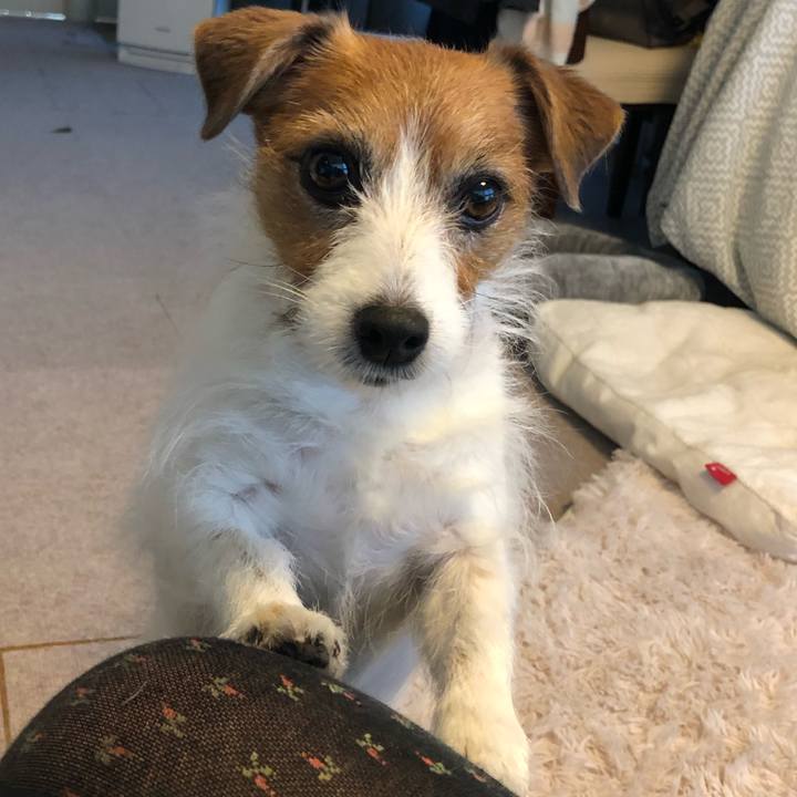 777e2d14 8f52 40a6 a52b 3d409c6a37aa 1611741517489