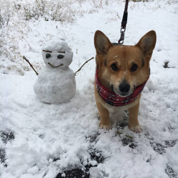 777e70e0 b67c 4942 9060 d9c90e126858 1765363813678