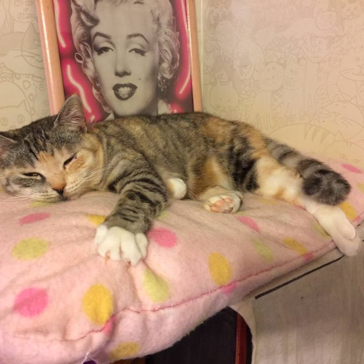 777eac24 f2a9 4f09 829c 303be9b56800 1550243395342