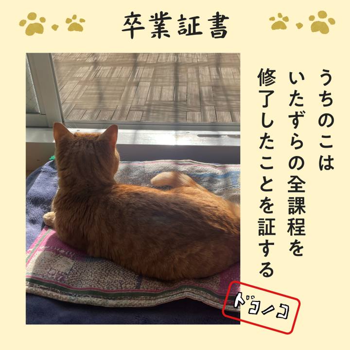 777eaca3 a1ae 409f 9feb 32ef29cf0842 1772161464850