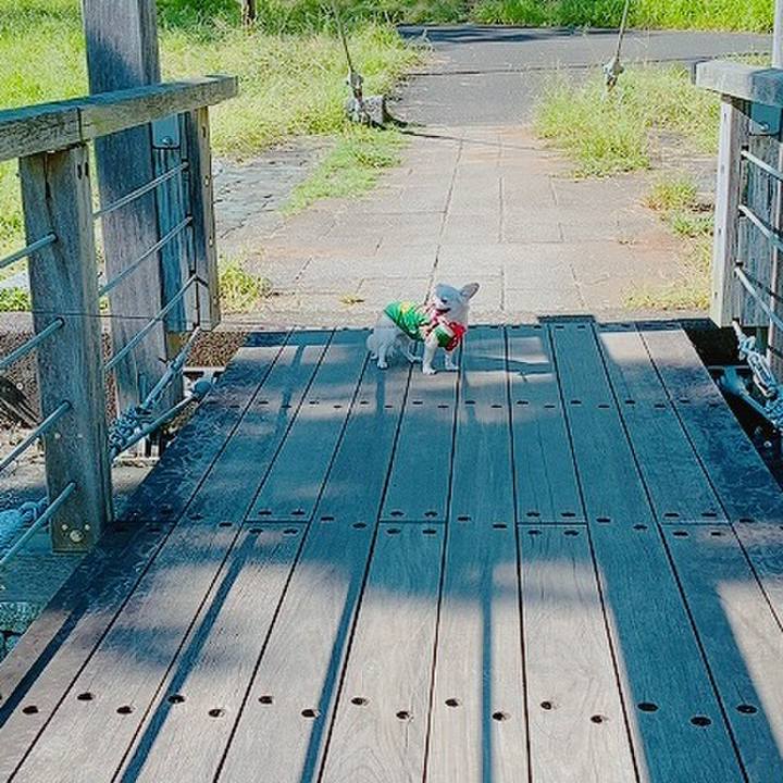 777eff1e a551 4e9f b1ca 63a41e6b92bd 1632134170780