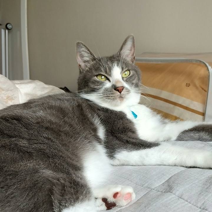 777f0d6c 34dd 485d 8481 1b5f8152ce16 1626180635776