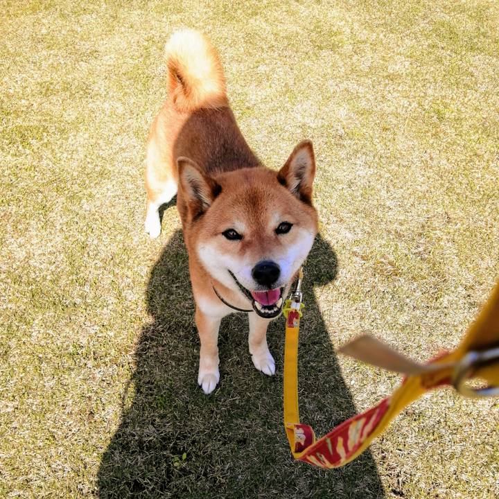 777f255d 9838 4fd0 b12a 3964e0b3f09e 1587624630954