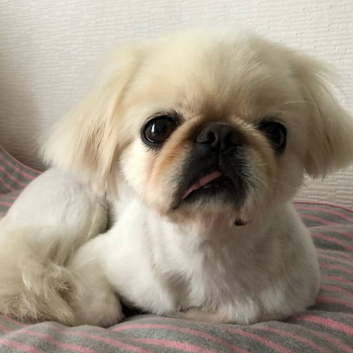 777f387e ae4b 4222 8c31 7bc67f2b75dc 1536918775328