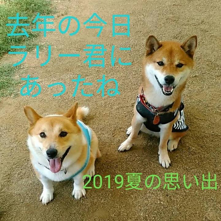 777f42b9 6420 4c3c 8ca5 d185fe23859b 1596674924338