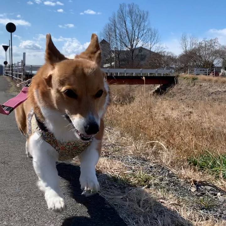 777fb847 877a 46a6 8414 868ae4fa32e4 1676949636816