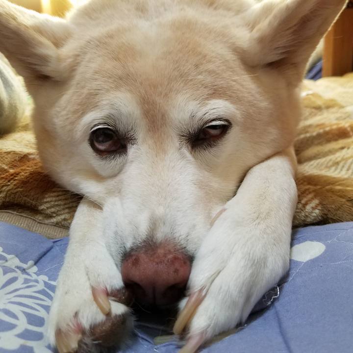 777fe41f 4be3 4c83 abf6 e9a0b3789229 1569170468478