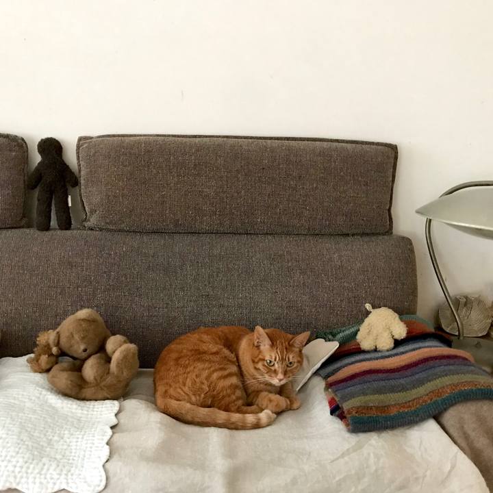 777fe475 1563 46ab 99cc f563f0687923 1521612222110