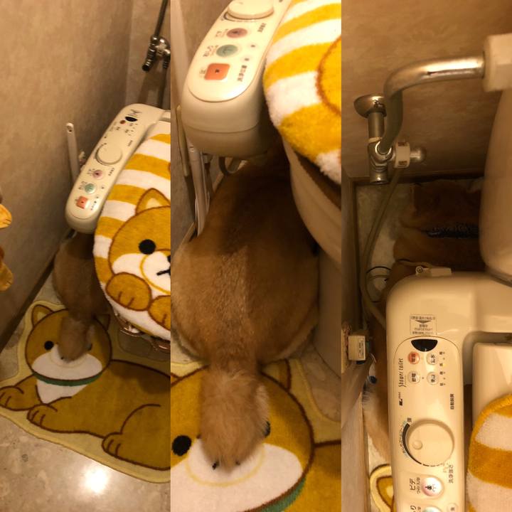 777ff59a e0a6 4a51 bf19 a4d7d474b915 1599350158884