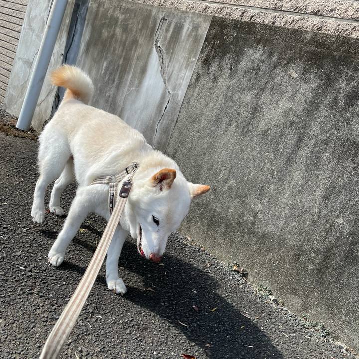 777ffab6 d6da 4f7d bd96 47bdafb0cf47 1634707960207