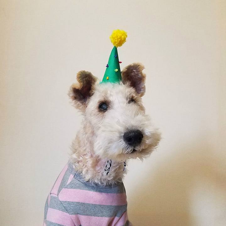 7780201f 2d66 4edf bb91 f17e7dee3d47 1735011386946