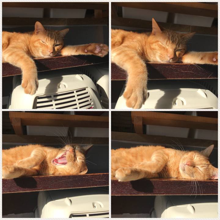 778023b0 525f 43b9 9632 3fd39ce996b6 1511401446260