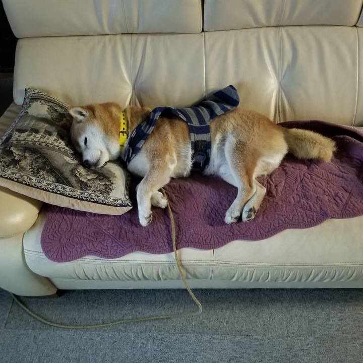 778035ca 46e8 47bb 8430 c0d70f36c04c 1672477666114