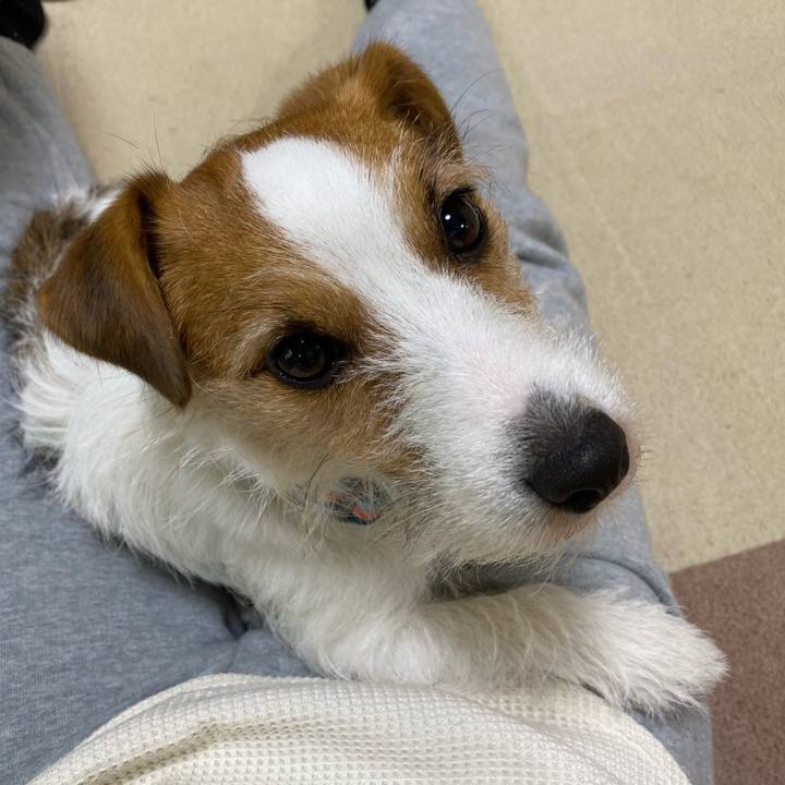 7780526a ca76 4bea bf79 f8177c34089c 1671240185900