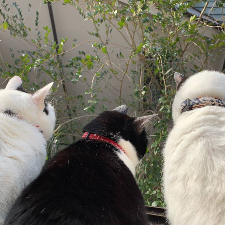 77807747 b590 477a afff d0cf1dd9f404 1551224962870